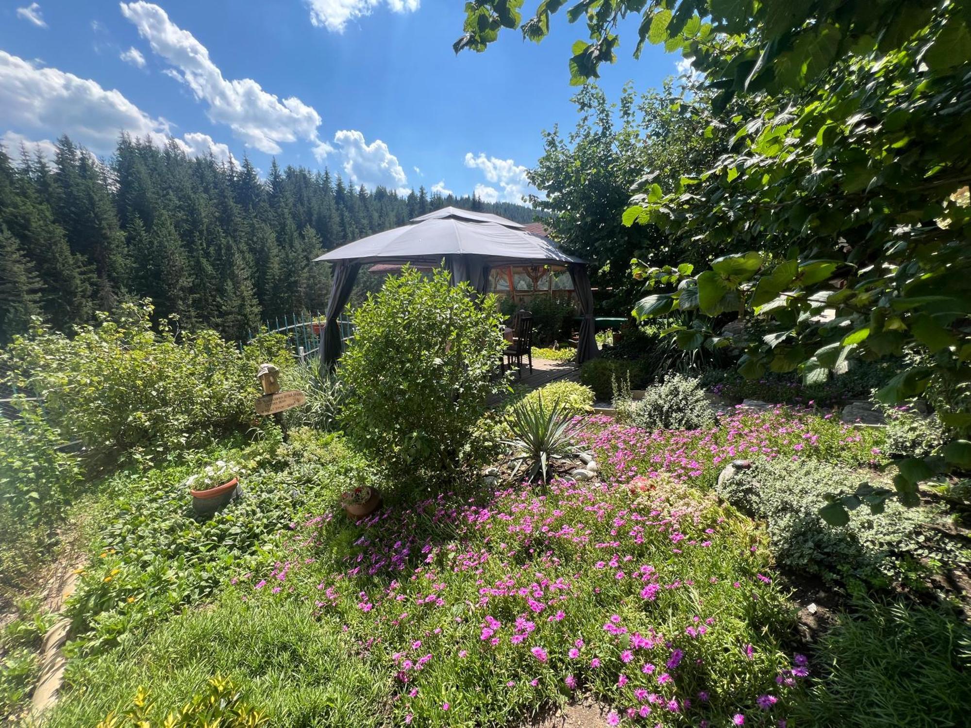 יאגודינה Guest House Milka מראה חיצוני תמונה